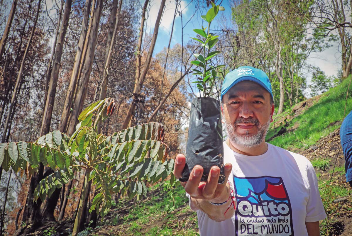 Quito apuesta por la reforestación con el Proyecto Cascos Verdes