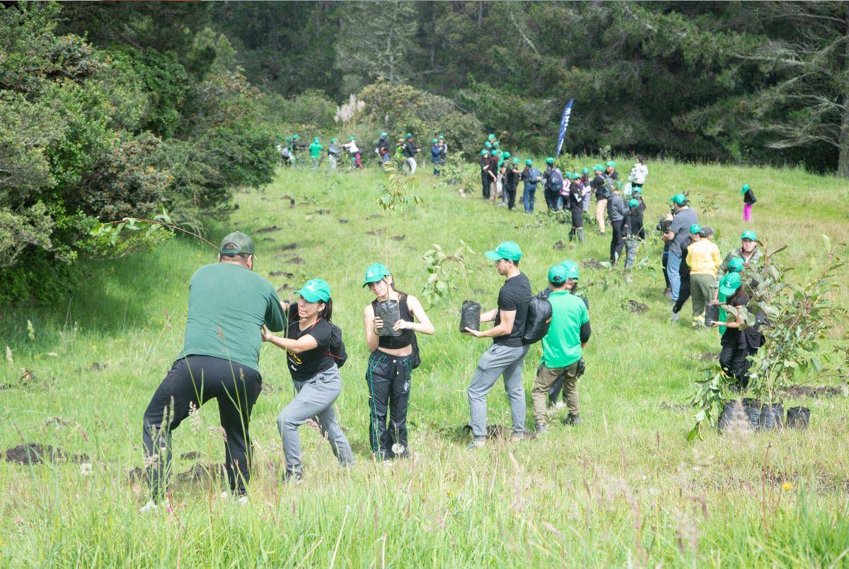 El programa internacional Cascos Verdes Ecuador realizó su primera siembra de árboles con éxito